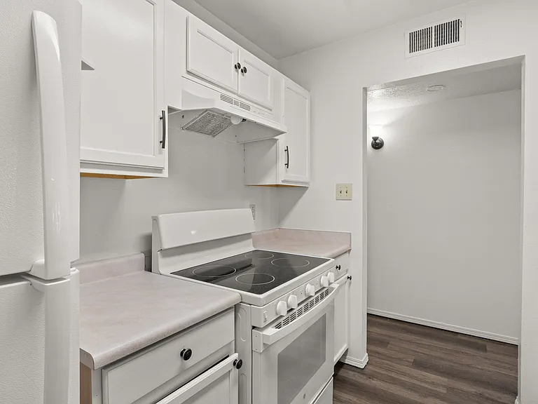1105 Calle Mesquite — Photo 5