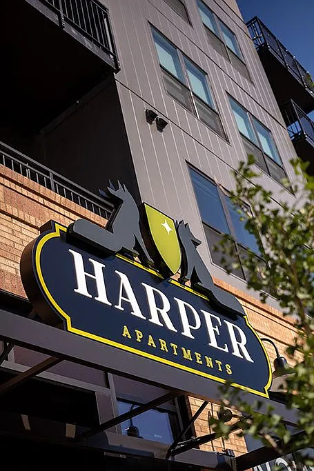 Harper — Photo 2