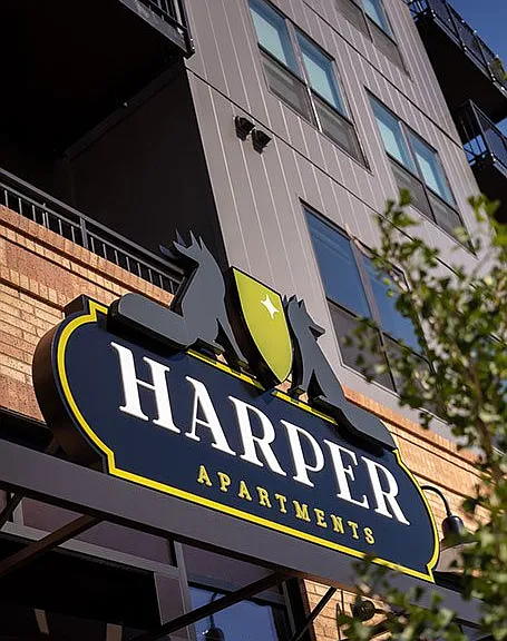 Harper — Photo 2