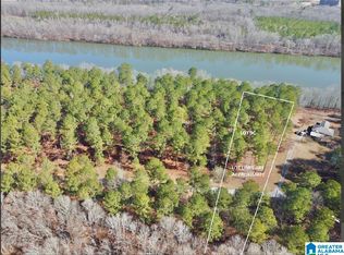 650 & 651 Liberty Shores Blvd LOT 9C, Vincent, AL 35178