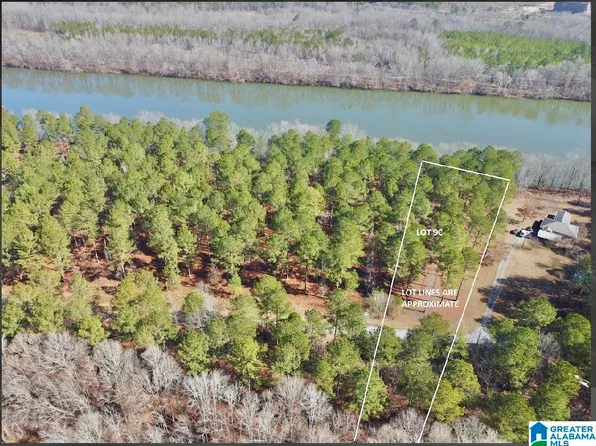 650 & 651 Liberty Shores Blvd Lot 9C, Vincent, AL 35178