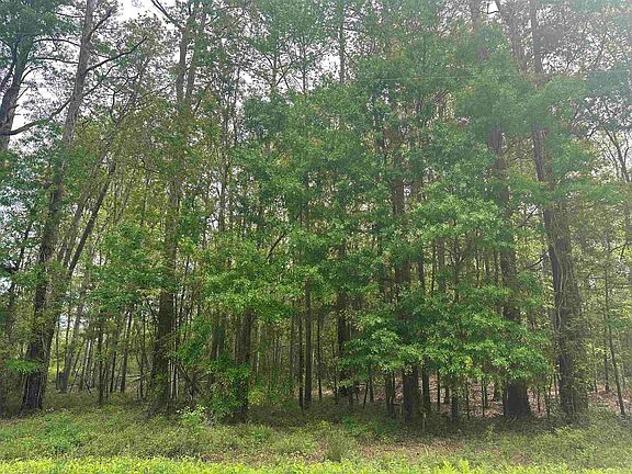 2nd image of TBD Creekside Dr. Lot 3