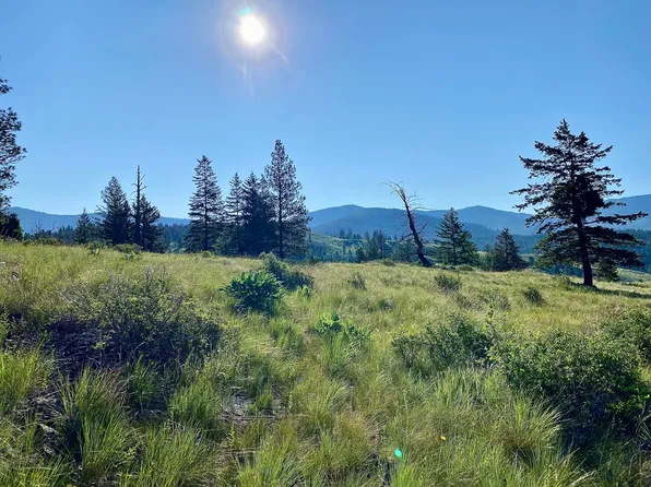 1 Dignity Ranch Rd, Republic, WA 99166