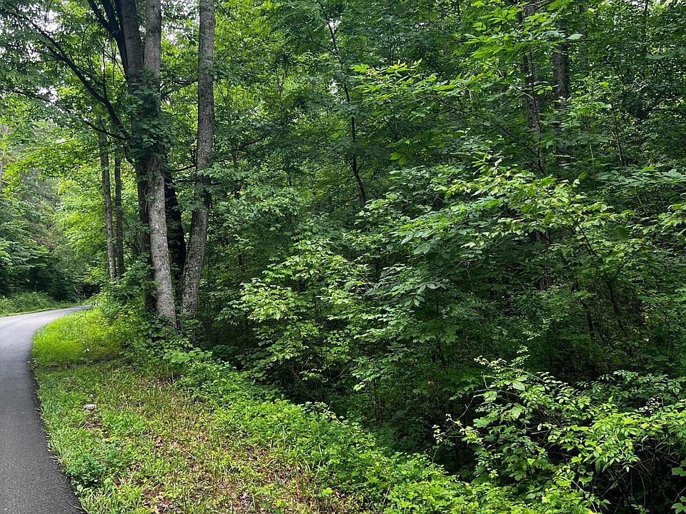 2nd image of 9999 Bear Hollow Rd