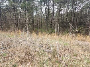 171 Lake Rd, Shell Knob, MO 65747