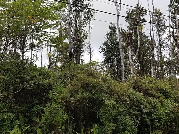 2nd image of Kahukai St Lot 23