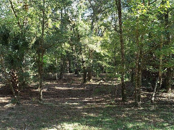 5th image of S COUNTY ROAD 13 LOT 11