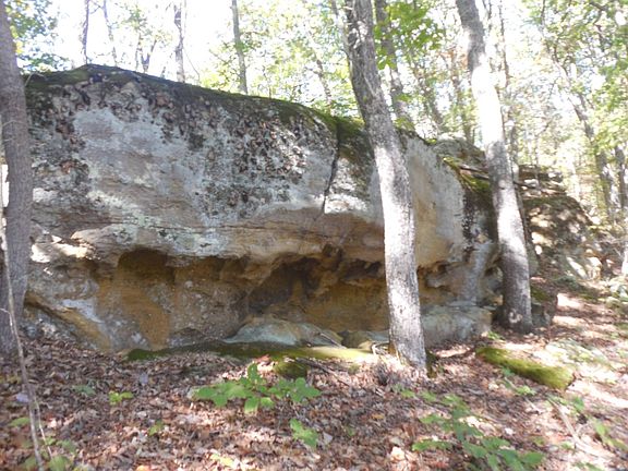 51st image of this home