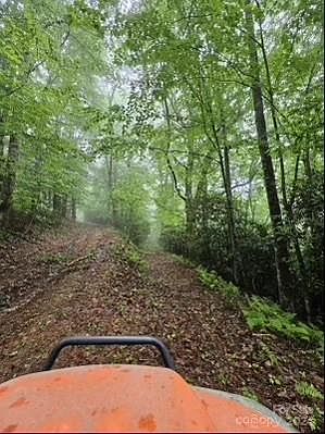 2nd image of 2556 Rich Mountain Rd