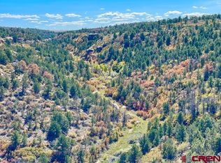 LOT-17B Road 17.5, Pleasant View, CO 81331