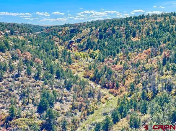 Lot 17B Road 17.5, Pleasant View, CO 81331