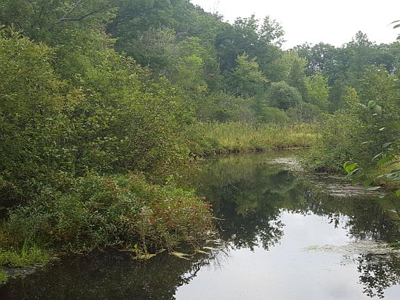 2nd image of N Sauble Lake Dr