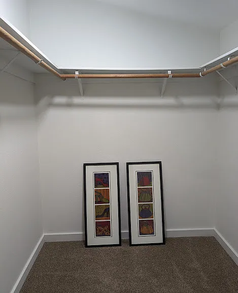 Upstairs bedroom with walk in closet