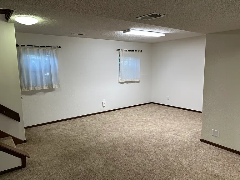 Family Room Downstairs - East Side