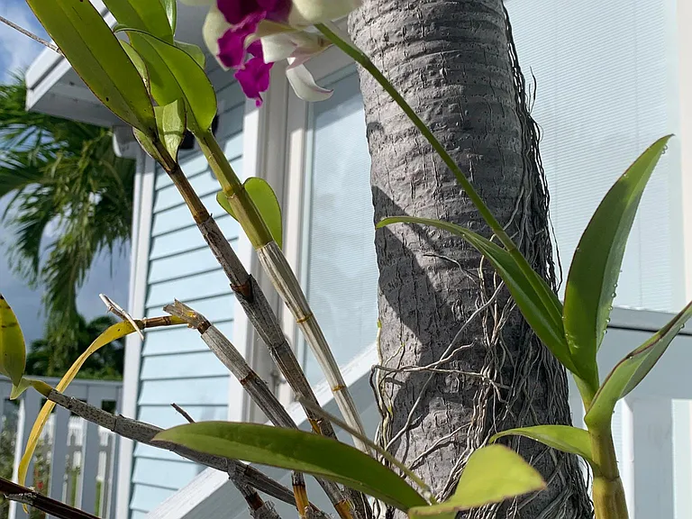 55 Boca Chica Rd #105 — Photo 29
