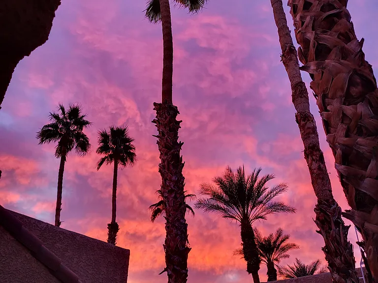 View from front porch