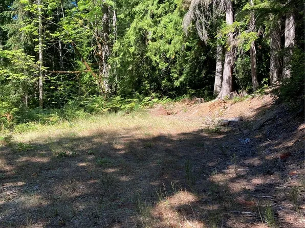 531 N Dow Mountain Road, Hoodsport, WA 98548