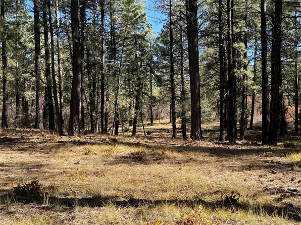 0 Venado Ln, Tierra Amarilla, NM 87575