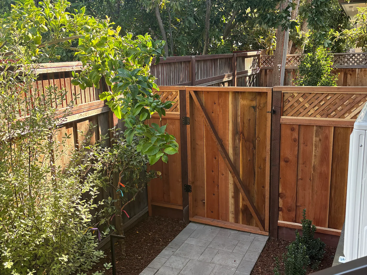 2 bed, 810 sqft, $6,000 — Photo 4