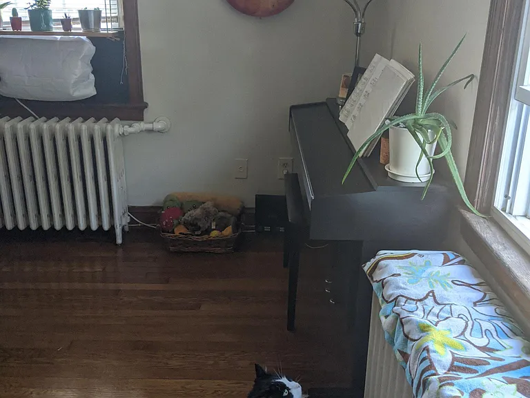 Living room Pets allowed