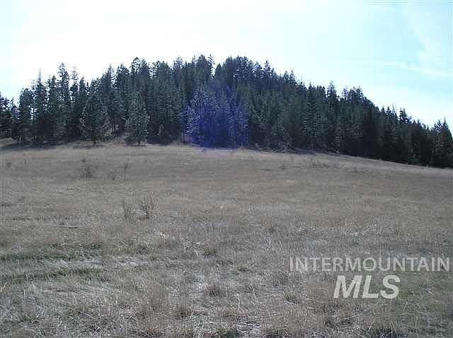 2nd image of 3 Jeter Candler Rd