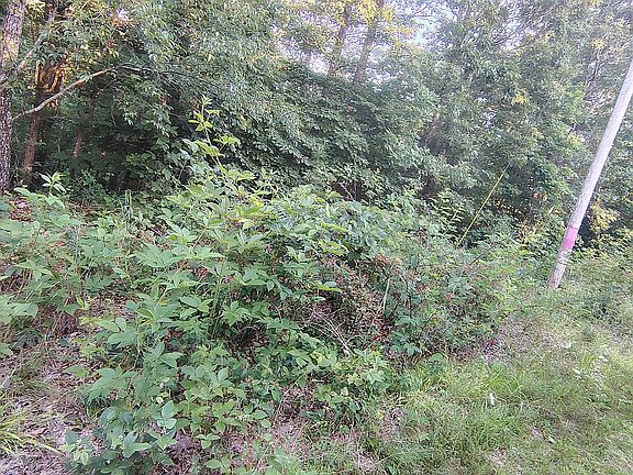 3rd image of 1389 Peaceful Ln #5