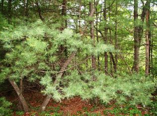 1091 Tbv Sampson Rd, Ferguson, NC 28624