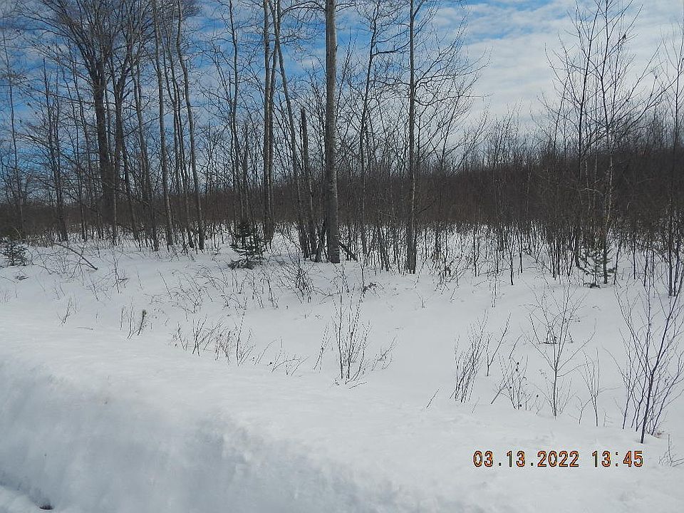 1st image of 0000 Scout Trail