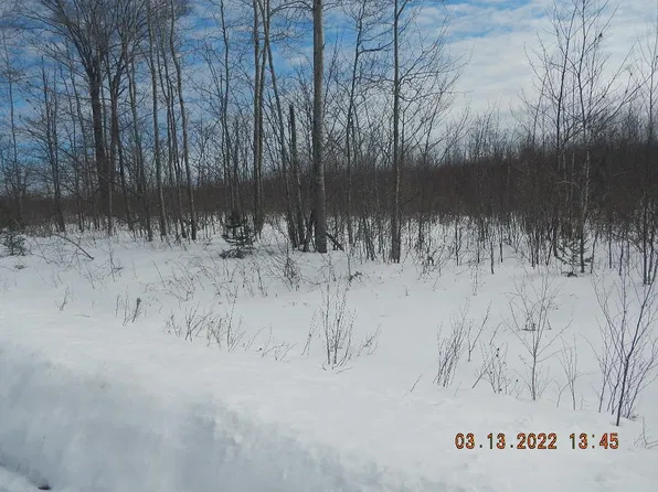 0000 Scout Trail, Ojibwa, WI 54862