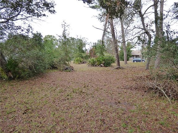 4th image of 10111 Briar Cir