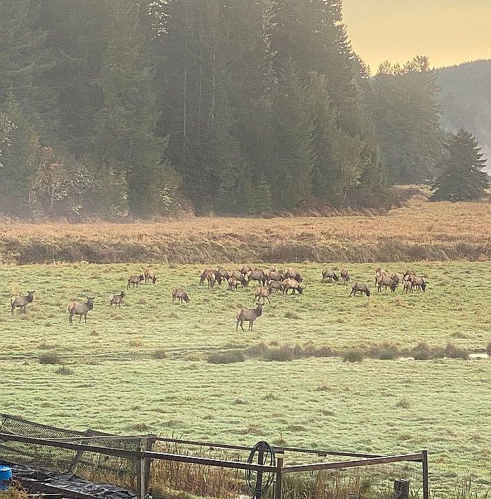 2nd image of 64831 E Bay Rd