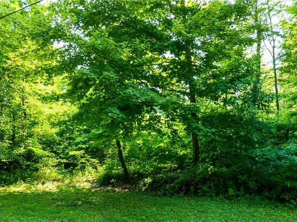 Fenstermaker Rd, Garrettsville, OH 44231