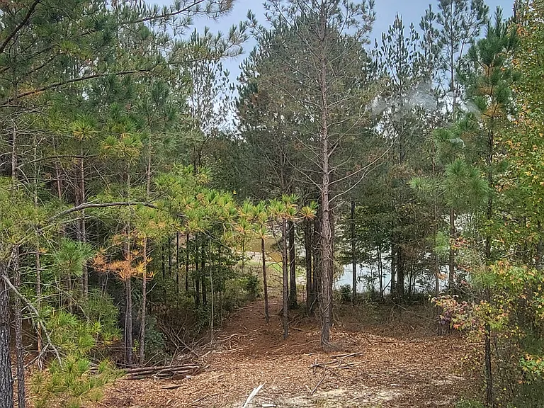 1223 Christy Ct — Photo 17