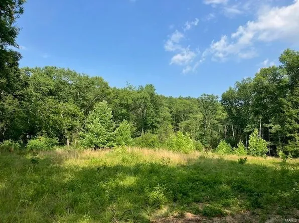 10 Simms Rd, Park Hills, MO 63601