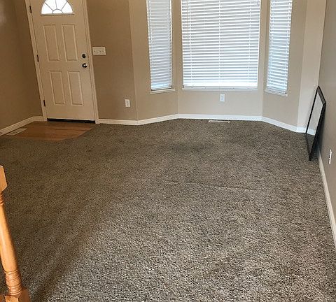 Home Entrance/Living Room 