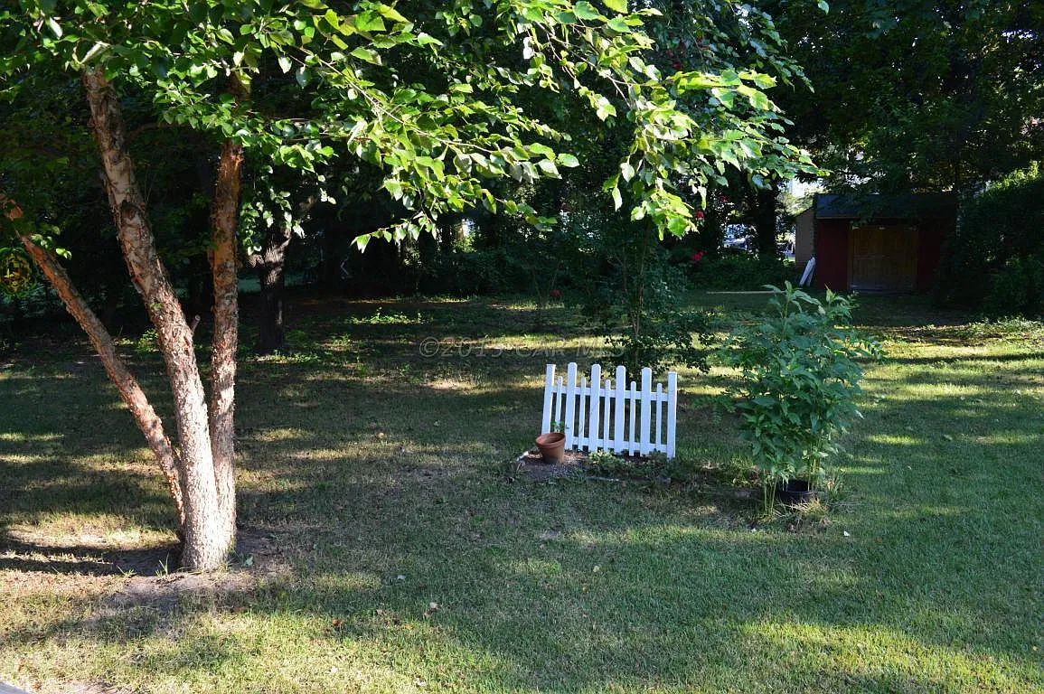 3 bed, 1.5 bath, 1485 sqft, $1,800 — Photo 4