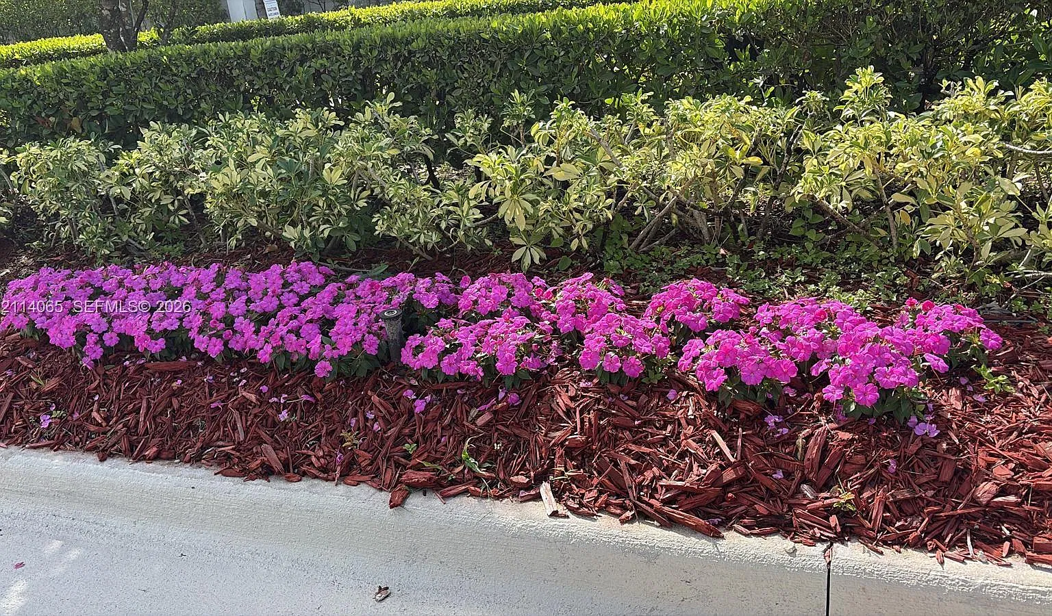 Doral Palms North — Photo 2