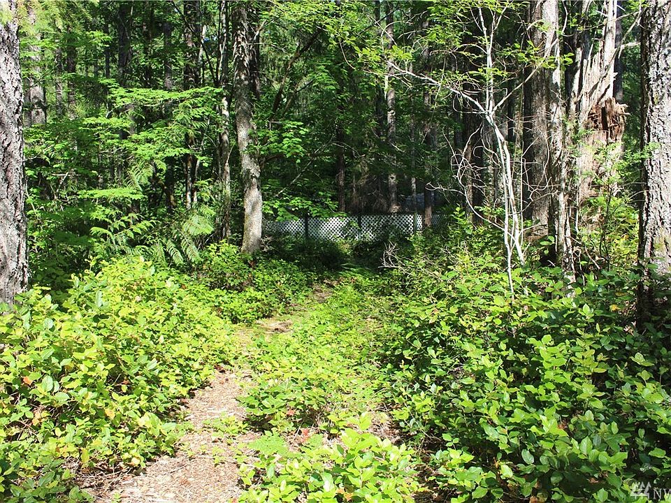 2nd image of 51 N Goldeneye Dr