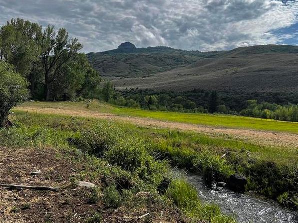 TBD COUNTY 864 aka Little Cimarron Road, Cimarron, CO 81230