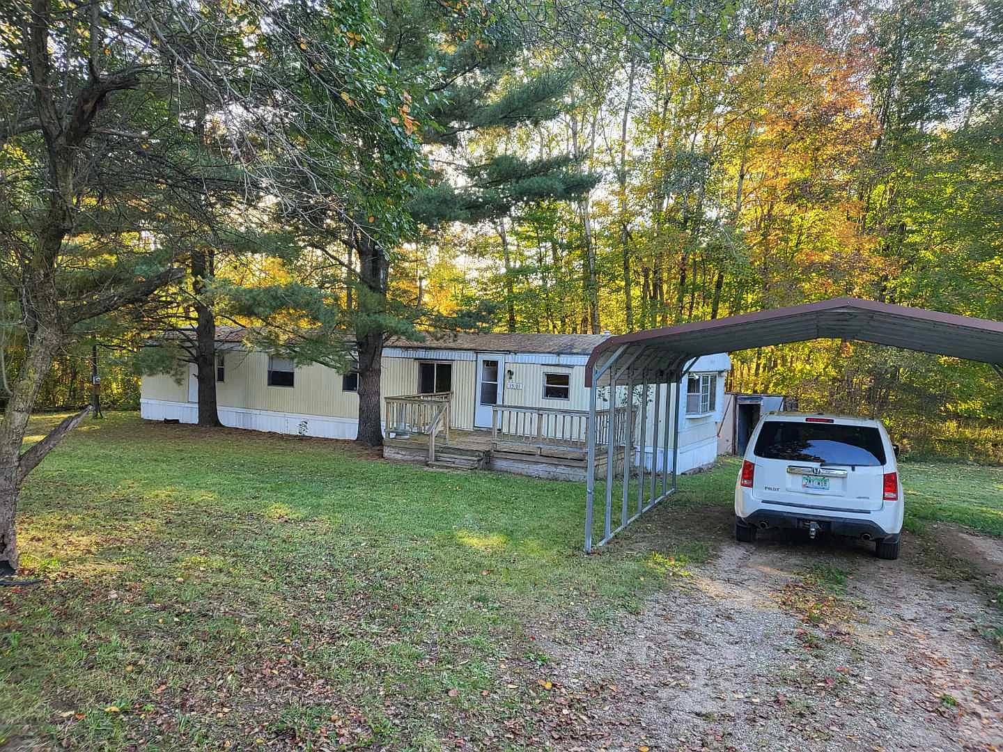 3 bed, 980 sqft, $1,000 — Photo 3