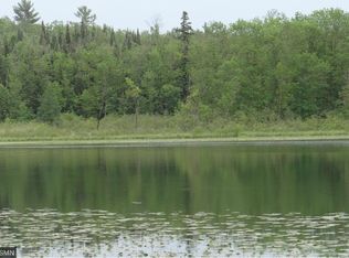 Tbd Grey Wolf Akeley Twp, Akeley, MN 56433