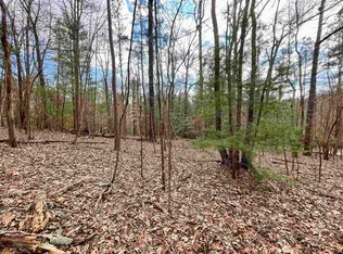 1015 Evans Dr #1015, Ellijay, GA 30540