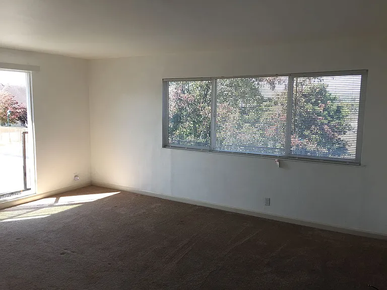 Willard Ave - 301 — Photo 7