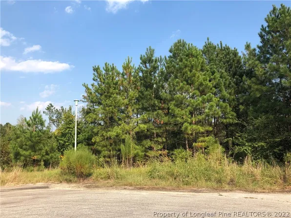 115 Ithica Ln, Bunnlevel, NC 28323