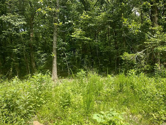 4th image of 0 McIntire Ln