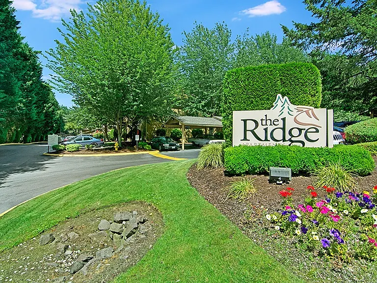 Ridge & Shores — Photo 20