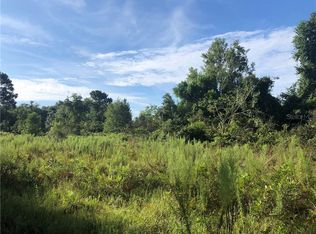 0 SE 39th Ter, Summerfield, FL 34491