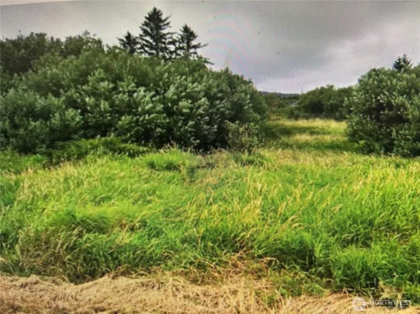 258 Stringtown Road, Ilwaco, WA 98624