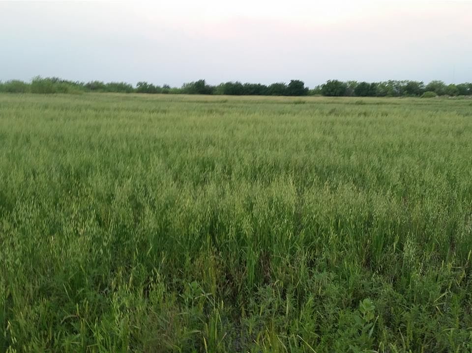 1st image of 2365 Fm 369 S