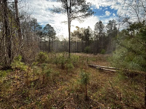 0 County Road 93, Bankston, AL 35542